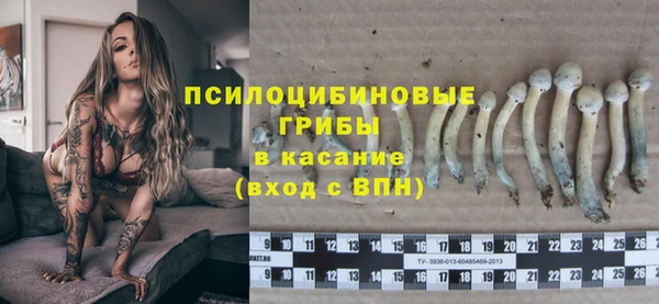 экстази Новозыбков