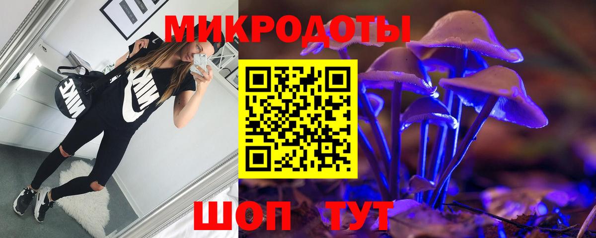 Ярцево  Галлюциногенные грибы прущие грибы  Вход с VPN 