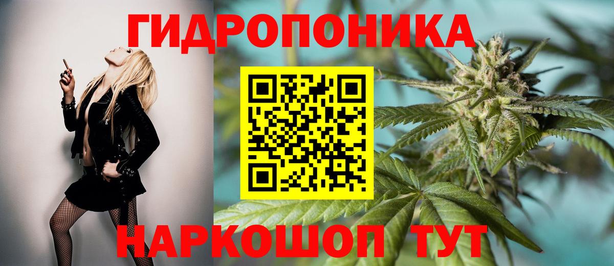 Конопля OG Kush  Канабис Ganja  Ярцево  Марихуана конопля 